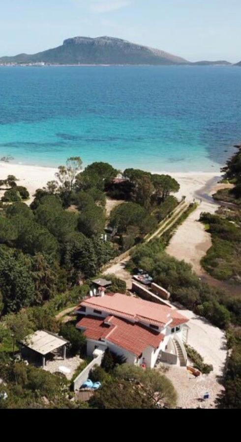 Villa Aranzos Golfo Aranci Buitenkant foto