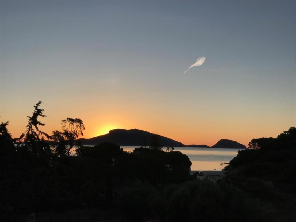 Villa Aranzos Golfo Aranci Buitenkant foto