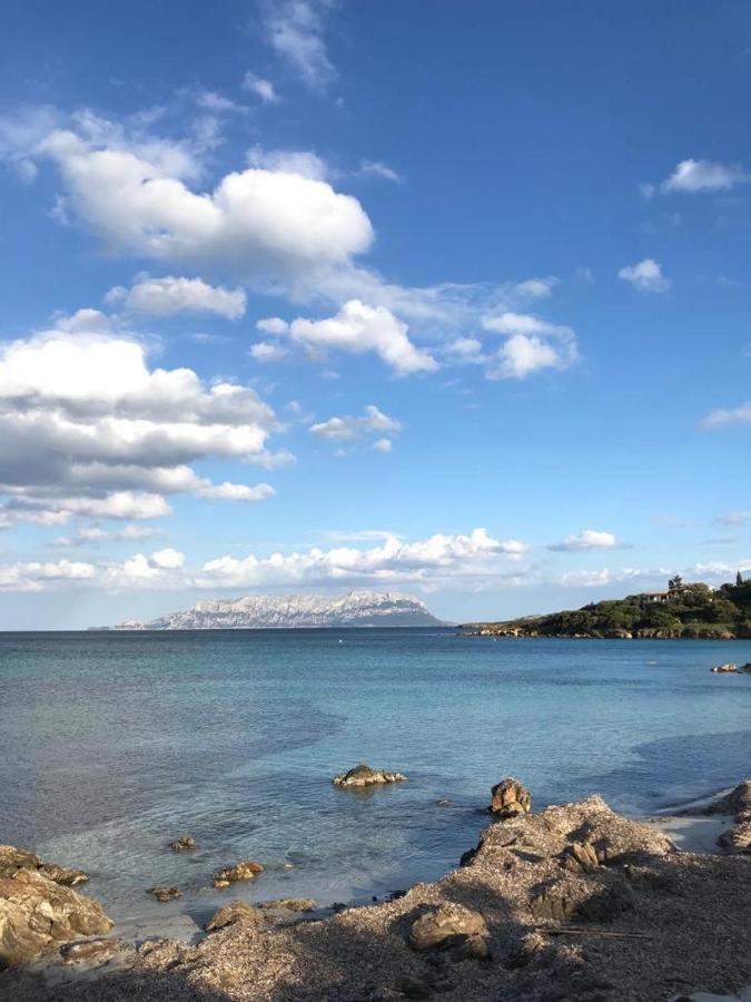 Villa Aranzos Golfo Aranci Buitenkant foto